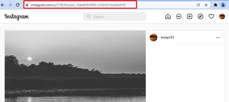 Copy the link to a private Instagram post